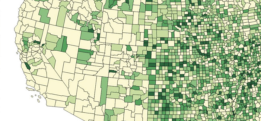 Internal/External Studies